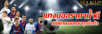 แทงบอล